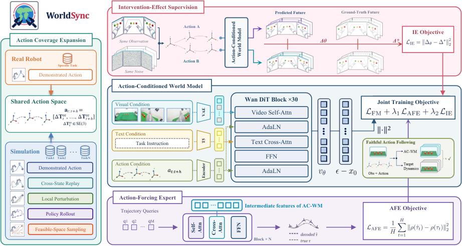 WorldSync: action coverage expansion, action-conditioned world model and intervention-effect supervision